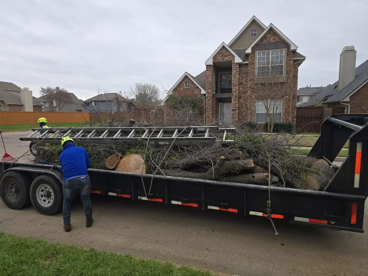 Expert Lot Clearing with proper safety equipment in Springville